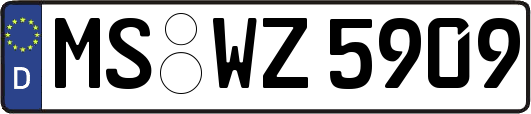 MS-WZ5909