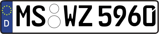 MS-WZ5960