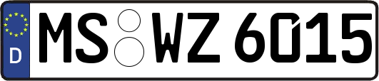 MS-WZ6015