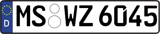 MS-WZ6045