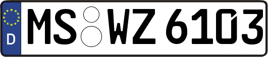 MS-WZ6103