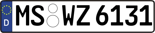 MS-WZ6131