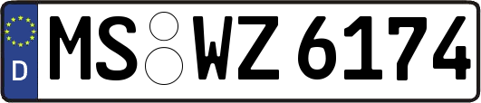 MS-WZ6174