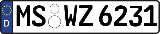MS-WZ6231