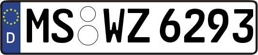 MS-WZ6293