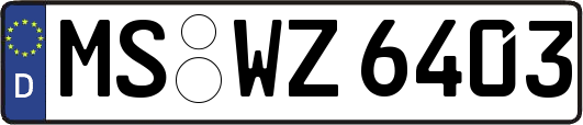 MS-WZ6403