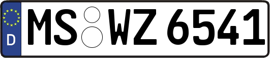 MS-WZ6541