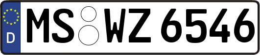 MS-WZ6546
