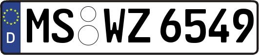 MS-WZ6549