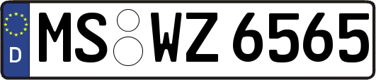 MS-WZ6565