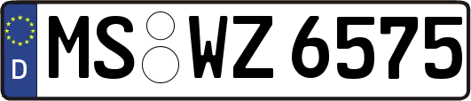 MS-WZ6575