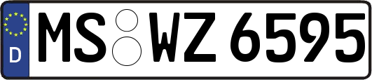MS-WZ6595