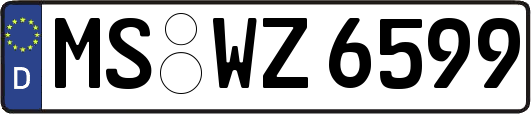 MS-WZ6599
