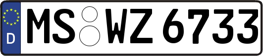 MS-WZ6733