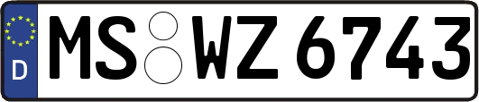 MS-WZ6743