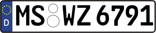 MS-WZ6791