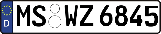 MS-WZ6845