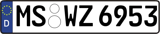 MS-WZ6953