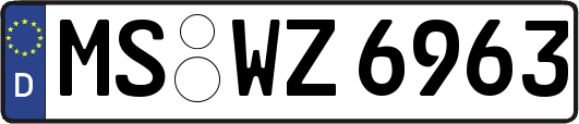 MS-WZ6963