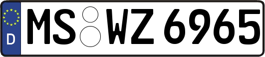 MS-WZ6965