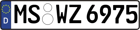 MS-WZ6975