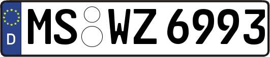 MS-WZ6993