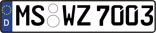 MS-WZ7003