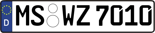MS-WZ7010