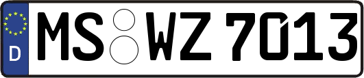 MS-WZ7013