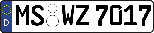 MS-WZ7017
