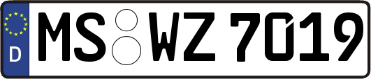 MS-WZ7019