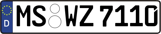 MS-WZ7110