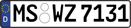 MS-WZ7131