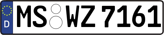 MS-WZ7161