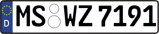 MS-WZ7191