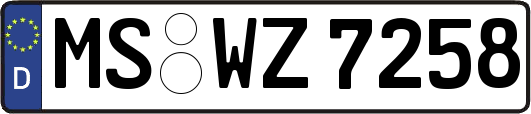 MS-WZ7258