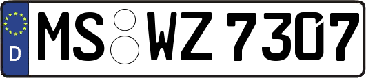 MS-WZ7307
