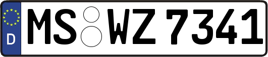 MS-WZ7341