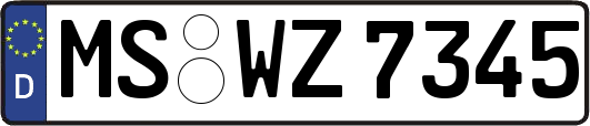 MS-WZ7345