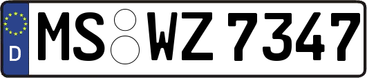 MS-WZ7347