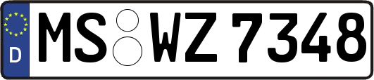 MS-WZ7348