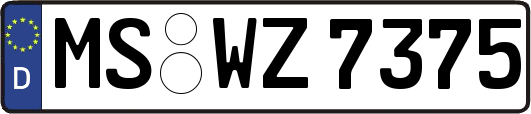 MS-WZ7375