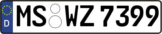 MS-WZ7399