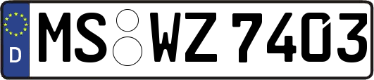 MS-WZ7403