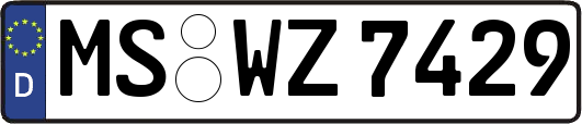 MS-WZ7429