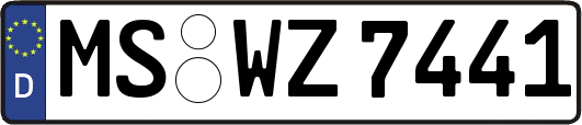 MS-WZ7441