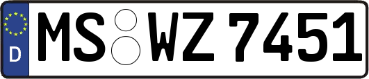 MS-WZ7451