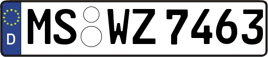 MS-WZ7463