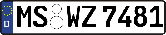 MS-WZ7481
