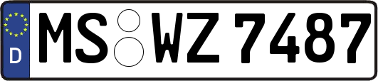 MS-WZ7487